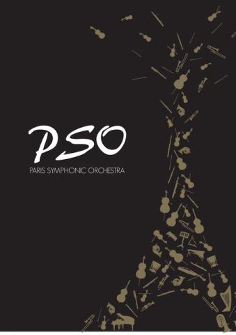 PSO visuel